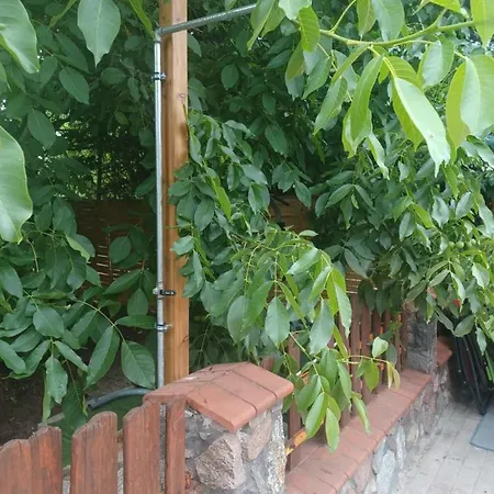 Dom Z Sauna I Jacuzzi Rowery Elektryczne Gołdap